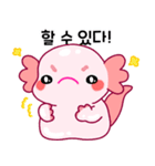 ウーパールーパー「ルパピン」 韓国語（個別スタンプ：7）