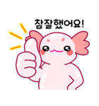 ウーパールーパー「ルパピン」 韓国語（個別スタンプ：9）