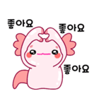 ウーパールーパー「ルパピン」 韓国語（個別スタンプ：10）