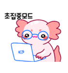 ウーパールーパー「ルパピン」 韓国語（個別スタンプ：11）