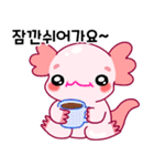 ウーパールーパー「ルパピン」 韓国語（個別スタンプ：14）