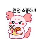 ウーパールーパー「ルパピン」 韓国語（個別スタンプ：17）