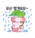 ウーパールーパー「ルパピン」 韓国語（個別スタンプ：23）