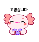 ウーパールーパー「ルパピン」 韓国語（個別スタンプ：25）
