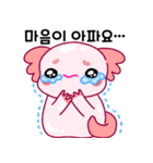 ウーパールーパー「ルパピン」 韓国語（個別スタンプ：28）