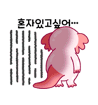 ウーパールーパー「ルパピン」 韓国語（個別スタンプ：30）