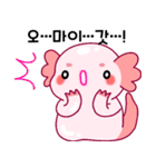 ウーパールーパー「ルパピン」 韓国語（個別スタンプ：32）
