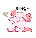 ウーパールーパー「ルパピン」 韓国語（個別スタンプ：37）