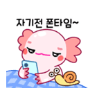 ウーパールーパー「ルパピン」 韓国語（個別スタンプ：39）