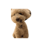 日常使いマルちゃん（個別スタンプ：4）