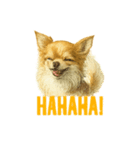 チワワ chiwawa（個別スタンプ：4）