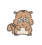 リスさんは忙しい（個別スタンプ：12）