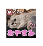 姫神ソラスタンプPart2（個別スタンプ：3）