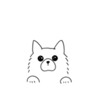 【サモエド】または【白くま】（個別スタンプ：6）