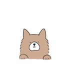 もふもふ犬【茶色】（個別スタンプ：1）