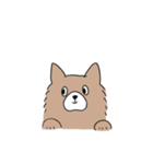 もふもふ犬【茶色】（個別スタンプ：7）