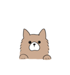 もふもふ犬【茶色】（個別スタンプ：8）