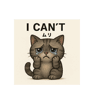 目つきの悪い猫(英語)（個別スタンプ：12）