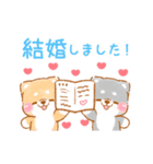 ▶動く❤️カップルいやしばいぬ❤️7/柴犬（個別スタンプ：4）