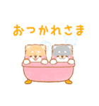 ▶動く❤️カップルいやしばいぬ❤️7/柴犬（個別スタンプ：15）