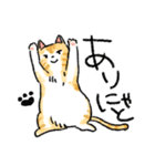 ぐぅたらニャンコ タマのきもち（個別スタンプ：2）