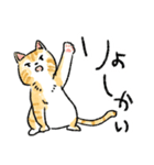 ぐぅたらニャンコ タマのきもち（個別スタンプ：3）