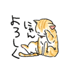 ぐぅたらニャンコ タマのきもち（個別スタンプ：4）