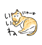 ぐぅたらニャンコ タマのきもち（個別スタンプ：6）