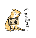 ぐぅたらニャンコ タマのきもち（個別スタンプ：12）