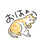 ぐぅたらニャンコ タマのきもち（個別スタンプ：13）