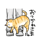 ぐぅたらニャンコ タマのきもち（個別スタンプ：18）