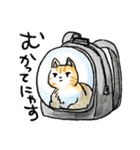 ぐぅたらニャンコ タマのきもち（個別スタンプ：19）