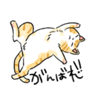ぐぅたらニャンコ タマのきもち（個別スタンプ：25）