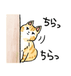 ぐぅたらニャンコ タマのきもち（個別スタンプ：29）