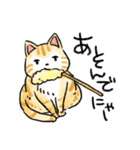 ぐぅたらニャンコ タマのきもち（個別スタンプ：31）
