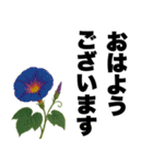 ずっと使える♡デカ文字お花のスタンプ（個別スタンプ：2）
