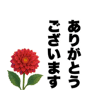 ずっと使える♡デカ文字お花のスタンプ（個別スタンプ：9）