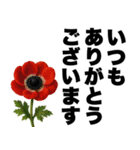 ずっと使える♡デカ文字お花のスタンプ（個別スタンプ：11）