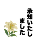 ずっと使える♡デカ文字お花のスタンプ（個別スタンプ：14）