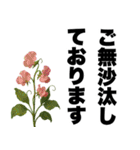 ずっと使える♡デカ文字お花のスタンプ（個別スタンプ：19）