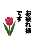 ずっと使える♡デカ文字お花のスタンプ（個別スタンプ：20）