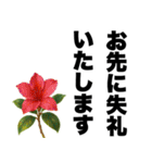 ずっと使える♡デカ文字お花のスタンプ（個別スタンプ：21）