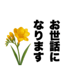 ずっと使える♡デカ文字お花のスタンプ（個別スタンプ：23）