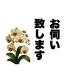 ずっと使える♡デカ文字お花のスタンプ（個別スタンプ：29）