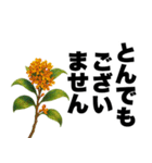 ずっと使える♡デカ文字お花のスタンプ（個別スタンプ：31）