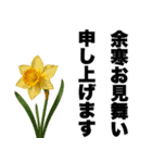 ずっと使える♡デカ文字お花のスタンプ（個別スタンプ：35）