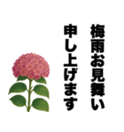 ずっと使える♡デカ文字お花のスタンプ（個別スタンプ：36）