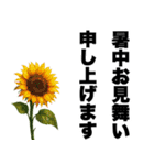 ずっと使える♡デカ文字お花のスタンプ（個別スタンプ：37）