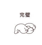 あざらしプロレスリング6（個別スタンプ：6）