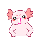 ピンクのウーパールーパー「ルパピン」（個別スタンプ：35）